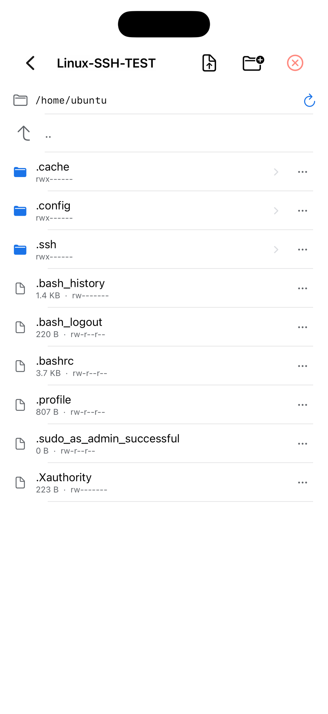 Файлова панель SFTP на iPhone
